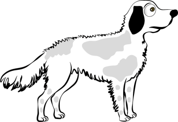 (C) K&ouml;lner Hunde-Akademie - Grafik: Nadine Golomb